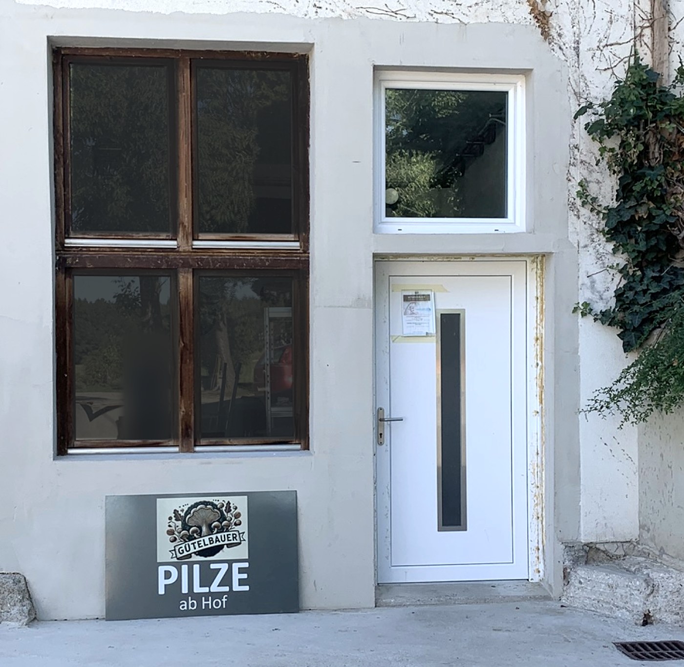 Der Eingang zur Produktionsstätte: eine weiße Tür in der verputzten Hofmauer, daneben ein Fenster, darunter das graue Schild „Gütlbauer Pilze — ab Hof“ auf dem frisch gewaschenen Vorplatz.